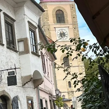 Apartment Cosy & Chic Old Town Ptuj